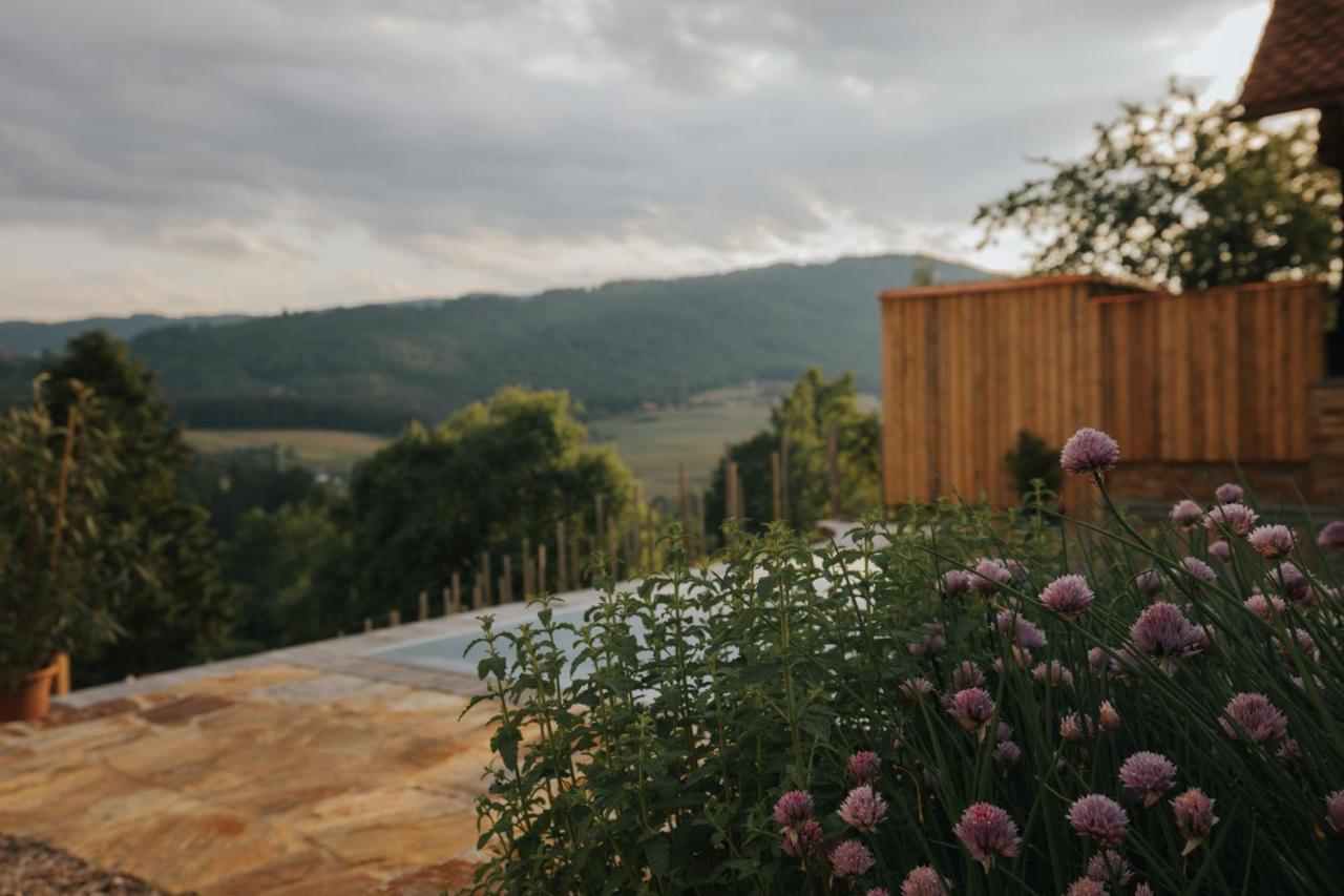 Am Wildbachberg - Luxus Ferienhaeuser Mit Infinitypool, Privatsauna Und Weinkeller 도이치란즈베르그 외부 사진
