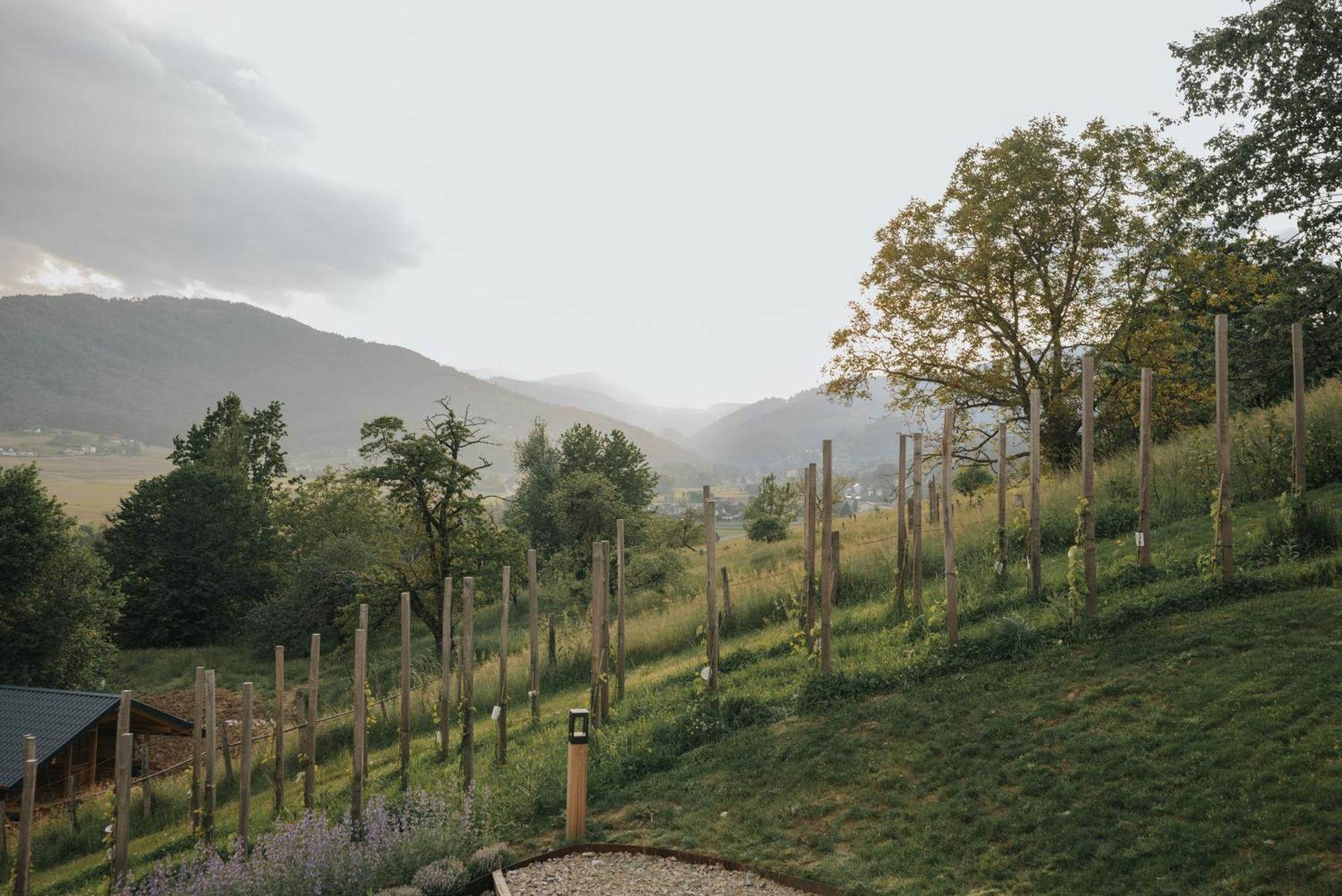 Am Wildbachberg - Luxus Ferienhaeuser Mit Infinitypool, Privatsauna Und Weinkeller 도이치란즈베르그 외부 사진